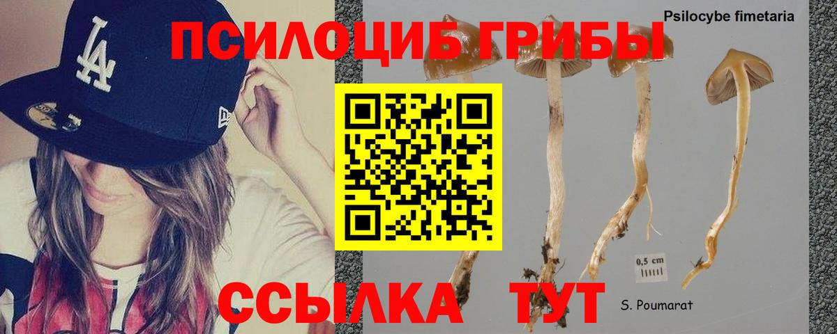 ТГК  Каннабис  A PVP СК кристаллы  Гашиш  Рославль  Вход с VPN  Cocaine  Мефедрон  