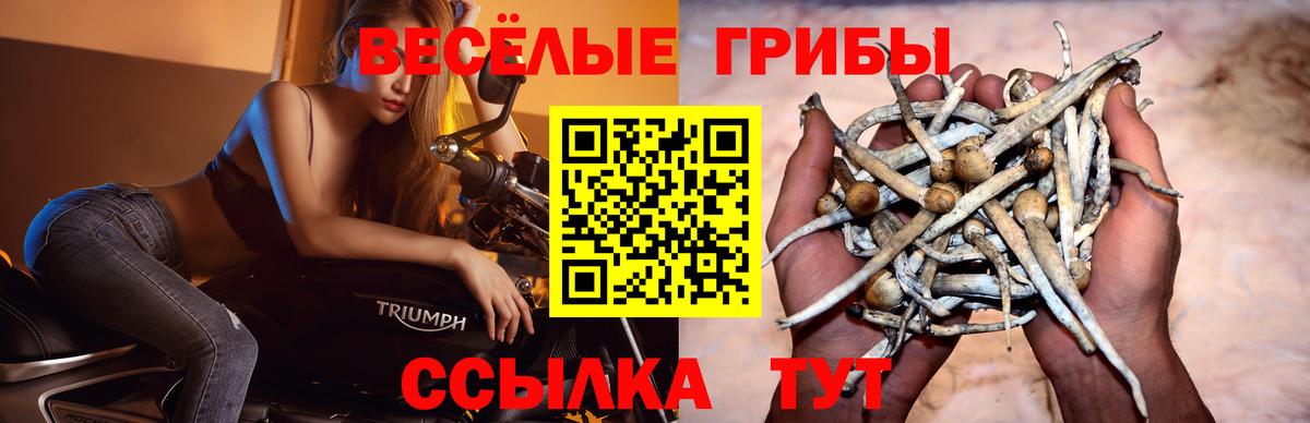 Галлюциногенные грибы GOLDEN TEACHER Рославль